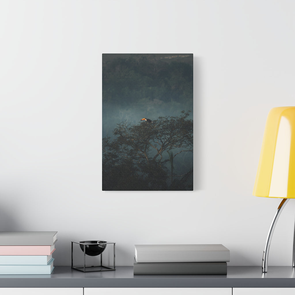Toucan in Misty Jungle Canvas Print — Tropical Wildlife Wall Art