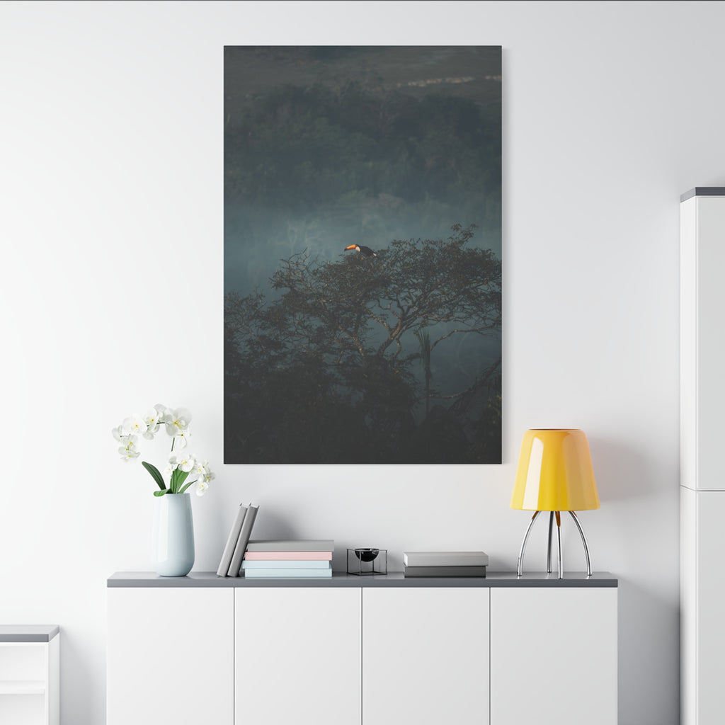 Toucan in Misty Jungle Canvas Print — Tropical Wildlife Wall Art