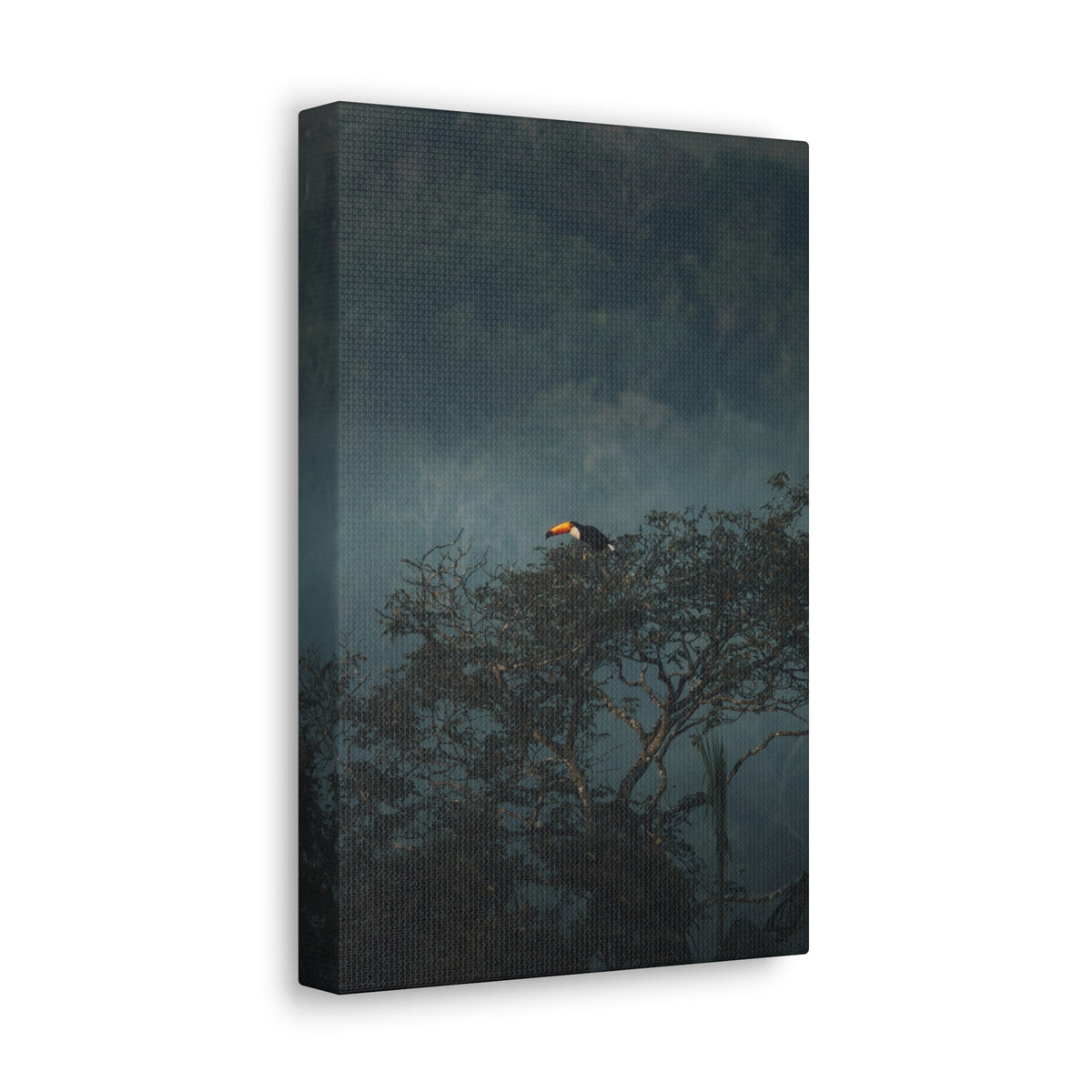 Toucan in Misty Jungle Canvas Print — Tropical Wildlife Wall Art