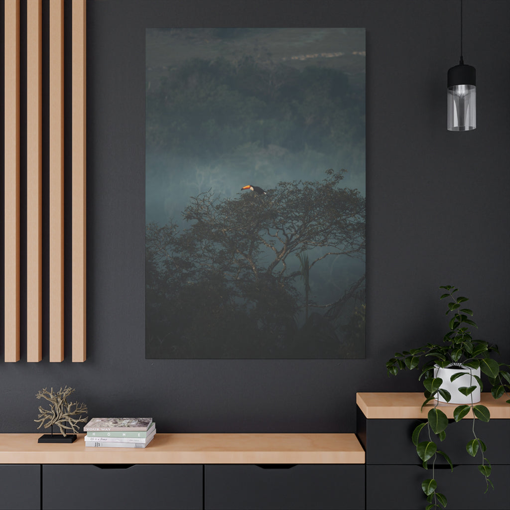 Toucan in Misty Jungle Canvas Print — Tropical Wildlife Wall Art