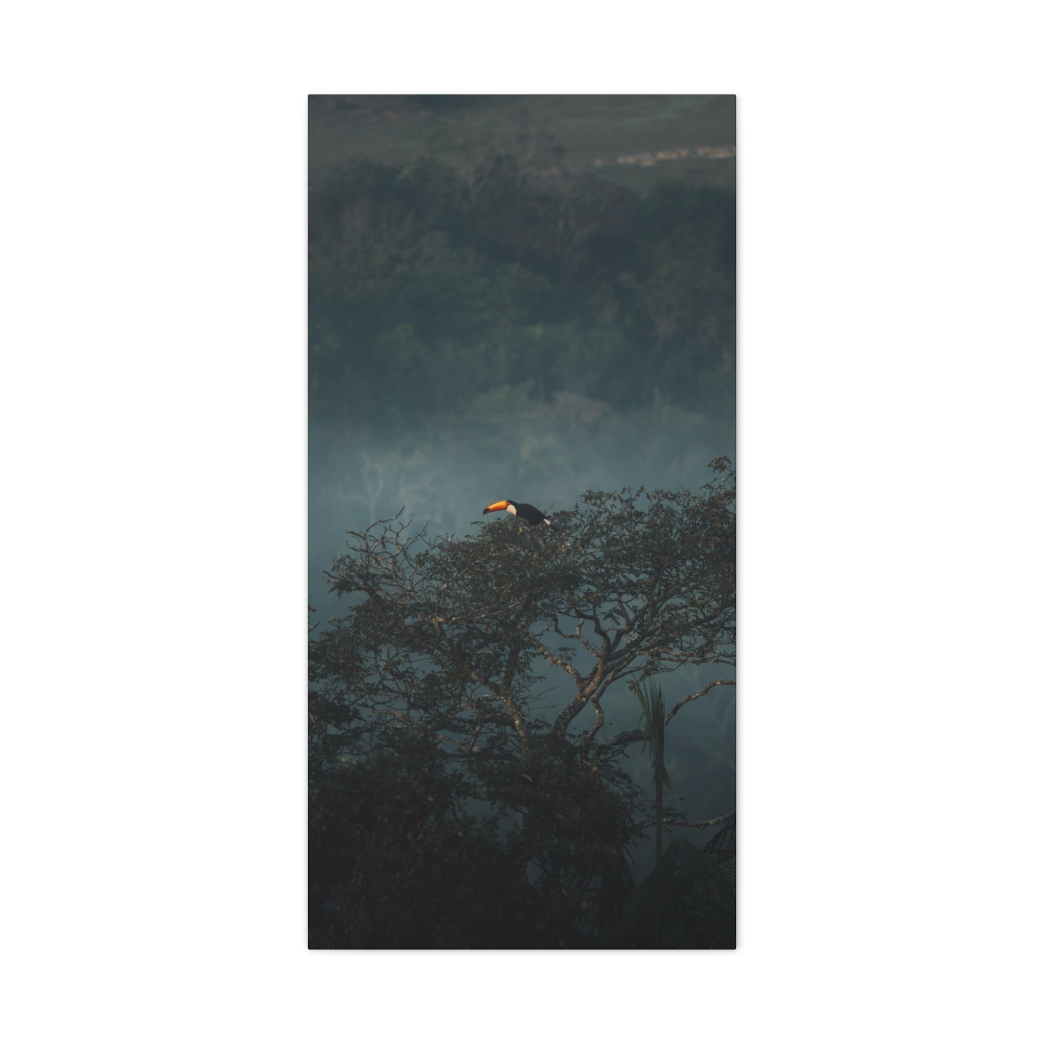 Toucan in Misty Jungle Canvas Print — Tropical Wildlife Wall Art