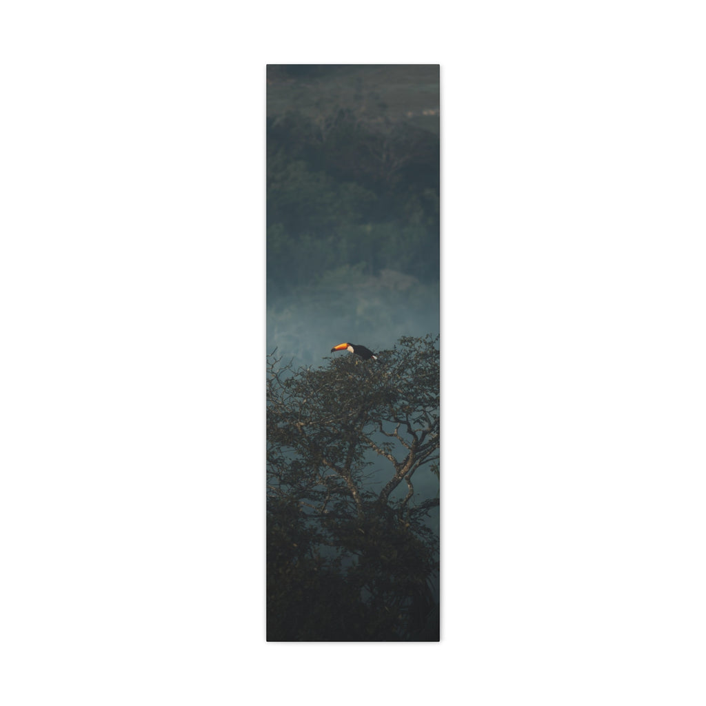 Toucan in Misty Jungle Canvas Print — Tropical Wildlife Wall Art