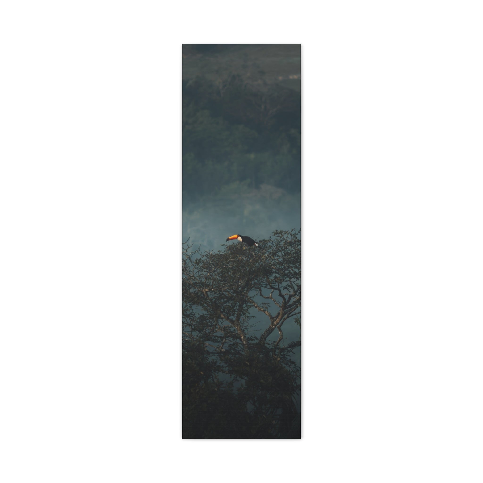 Toucan in Misty Jungle Canvas Print — Tropical Wildlife Wall Art