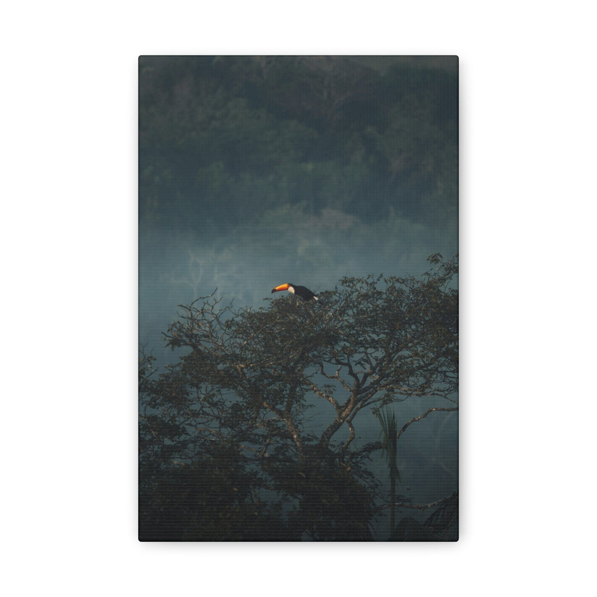 Toucan in Misty Jungle Canvas Print — Tropical Wildlife Wall Art