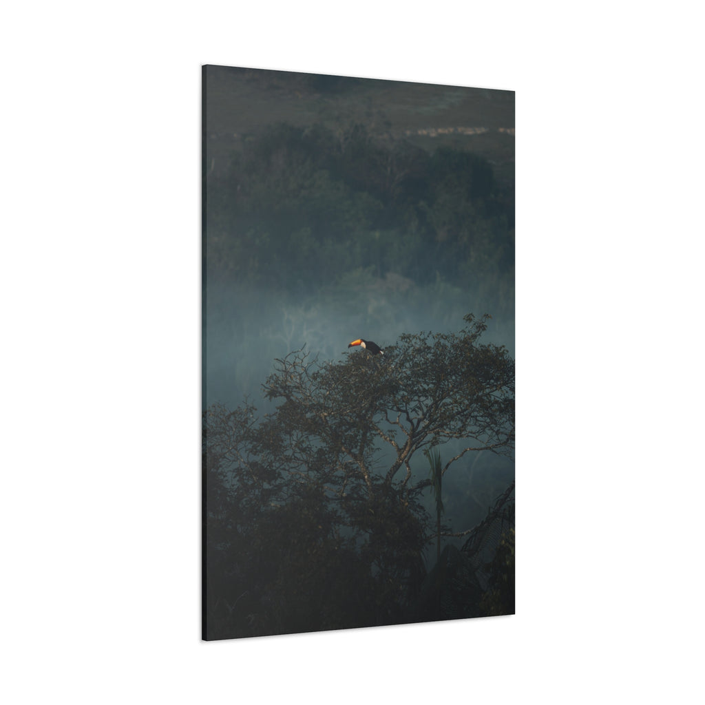 Toucan in Misty Jungle Canvas Print — Tropical Wildlife Wall Art