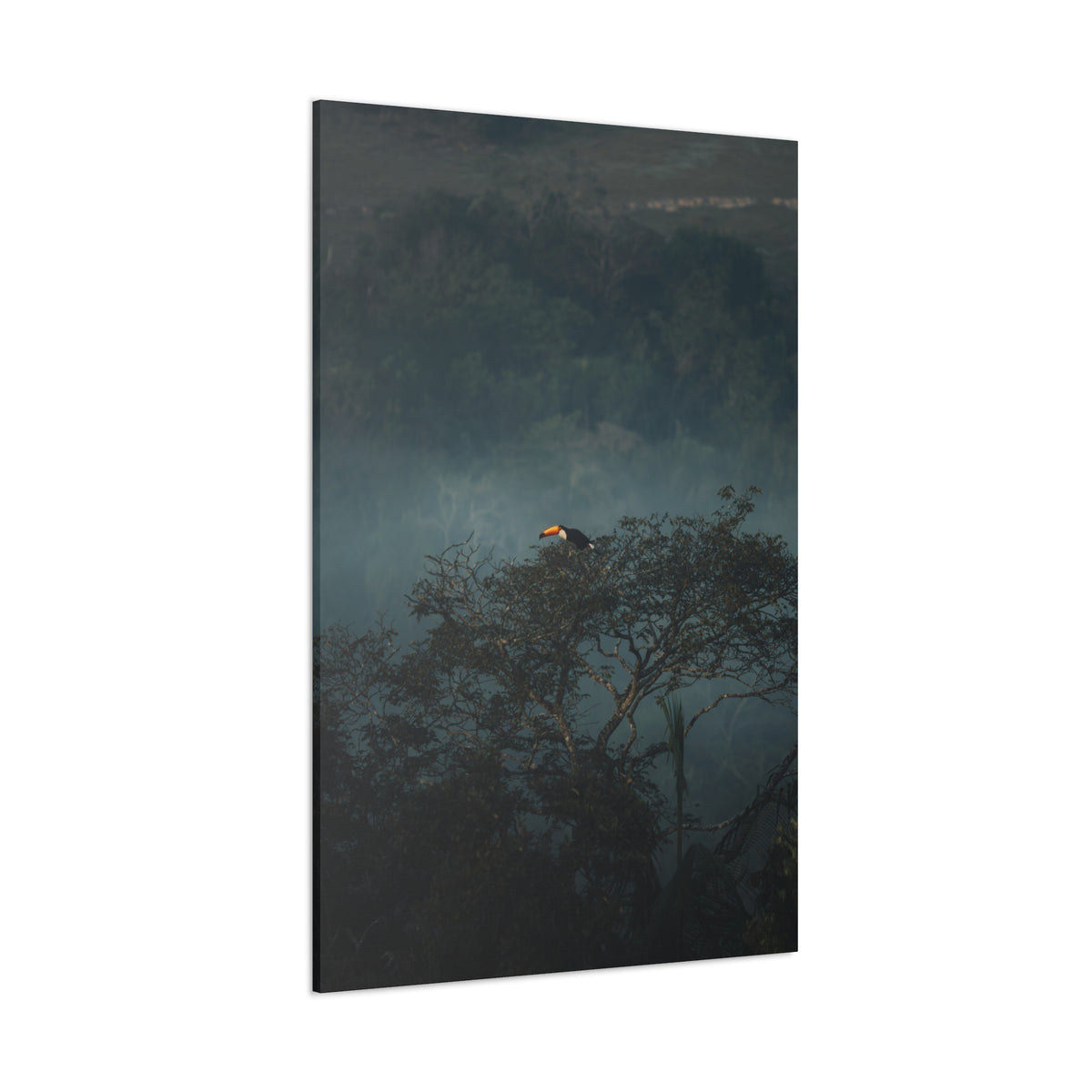 Toucan in Misty Jungle Canvas Print — Tropical Wildlife Wall Art