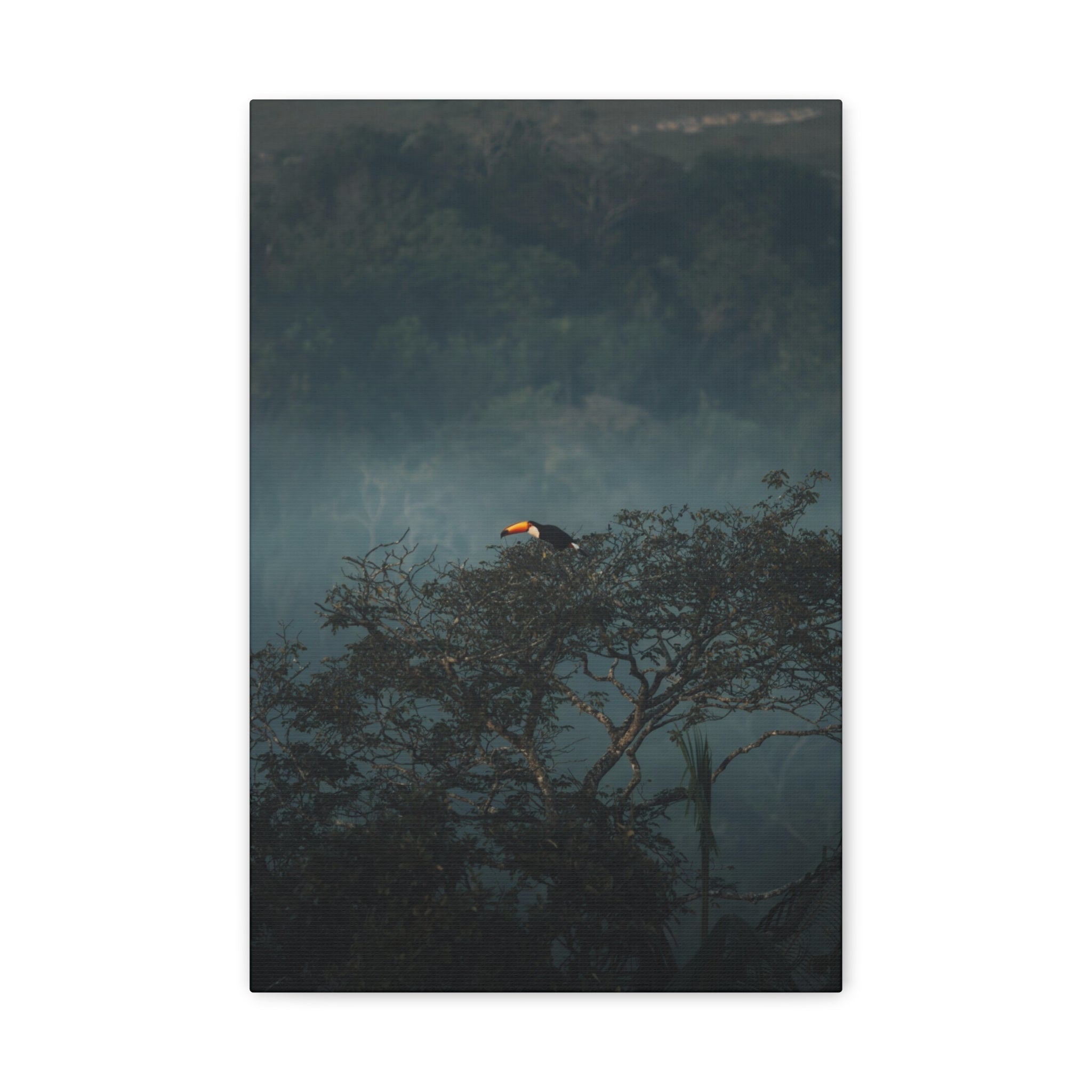Toucan in Misty Jungle Canvas Print — Tropical Wildlife Wall Art