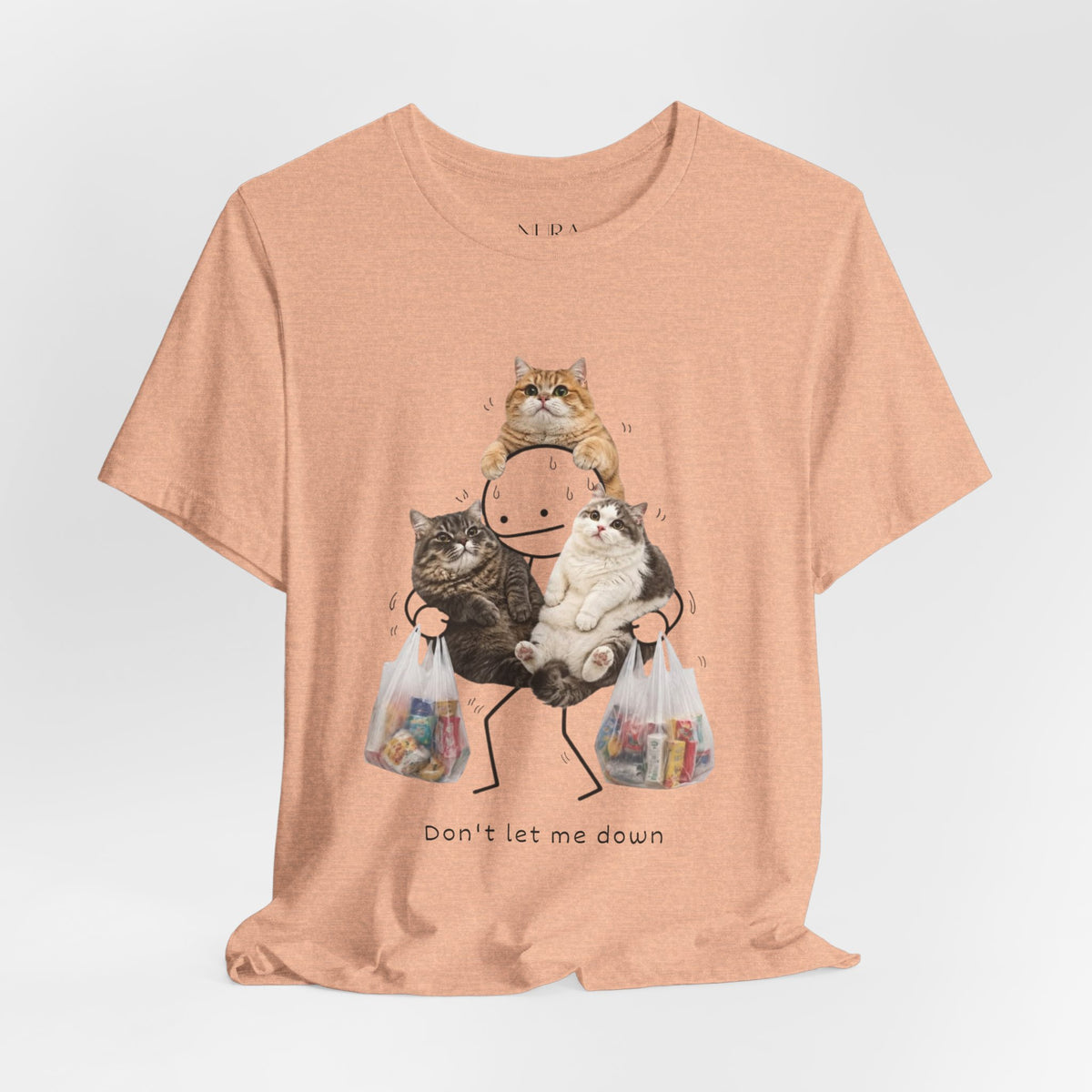 Funny Cat Lover T-Shirt, Dont Let Me Down Cat Meme Tee,Cat Mom Gift, Shirt
