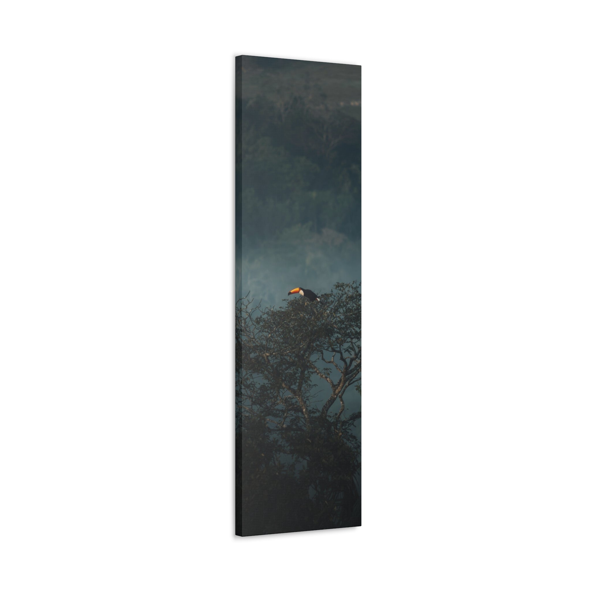 Toucan in Misty Jungle Canvas Print — Tropical Wildlife Wall Art