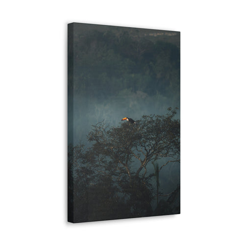 Toucan in Misty Jungle Canvas Print — Tropical Wildlife Wall Art