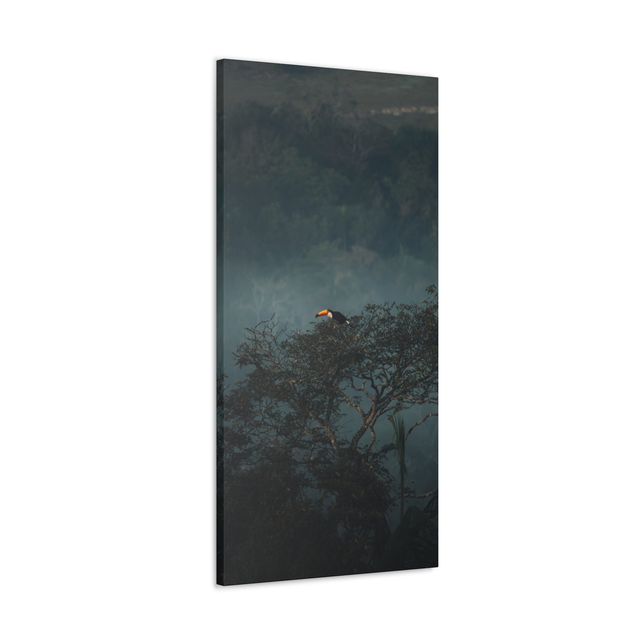 Toucan in Misty Jungle Canvas Print — Tropical Wildlife Wall Art