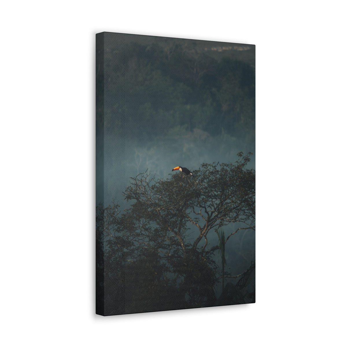 A vertical canvas wall art print depicting a toucan perched in a misty forest, shown as a gallery-wrapped canvas against a plain white background.