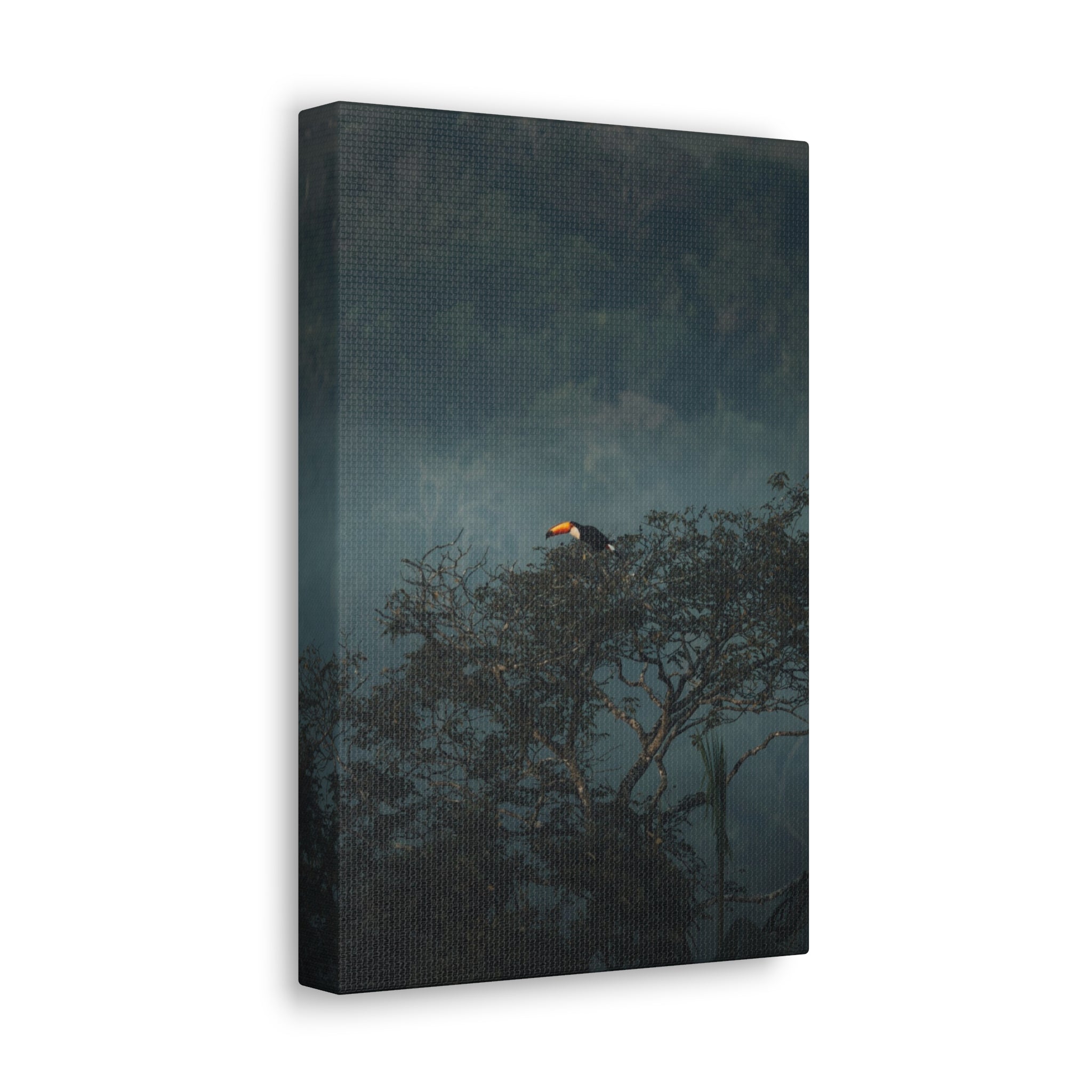 A vertical canvas wall art print showing a dark forest scene with a toucan perched on a tree, photographed against a clean white background.